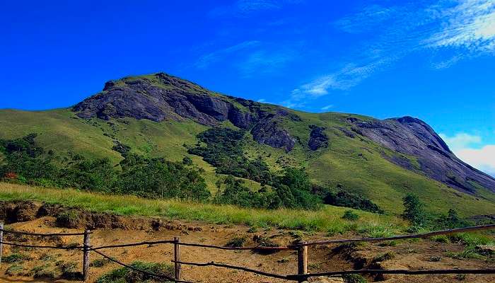 Anamudi Peak in Munnar