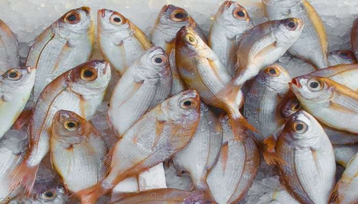 Celebrating a delicious fermented fish at Angel’s Cafe, ranked among the best Cafes in Imphal