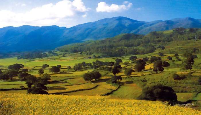 If you are into valleys and picturesque places, the Araku Valley near Bheemili Beach is the one for you.