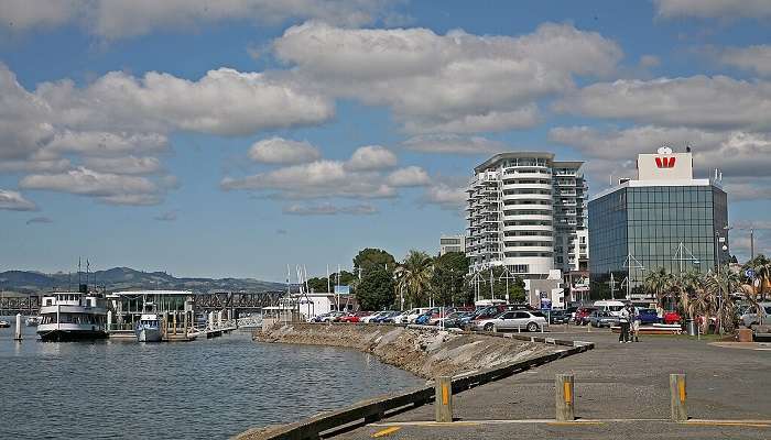 Cafes in Tauranga specifically hold a rich place in serving the best of a cup of coffee and mouthwatering baked treats.