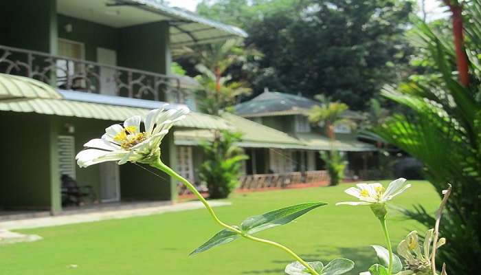 An Ayurveda Resort in Kerala in Sultan Bathery