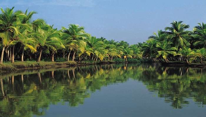 Take a tour to enjoy the beautiful and serene sites of the backwaters and canals around Kariavattom.