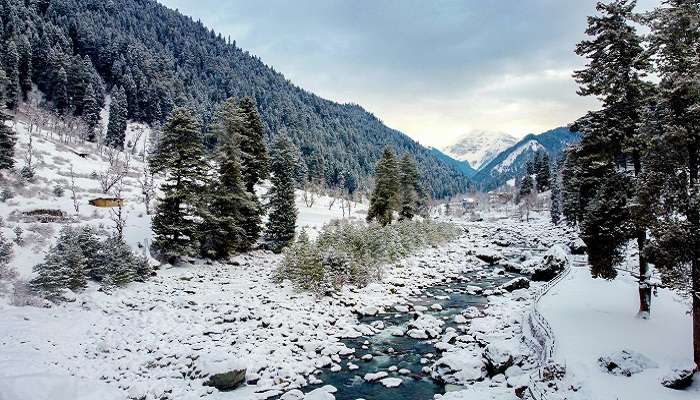 Baisaran Hills, c'est l'une des meilleur endroits à visiter à pahalgam en hiver