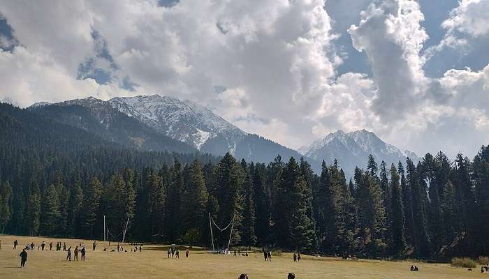 Scenic view of Baisaran also known as "Mini Switzerland." A lush green meadow surrounded by tall pines and snow-capped Himalayas.