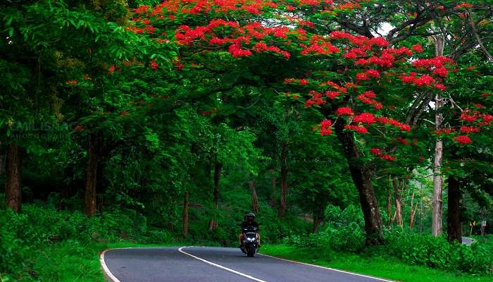 Kolagappara Wayanad is one of the wonderful sites to have a good vacation