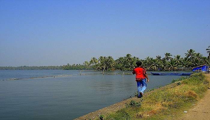 Enjoy a tasty meal at Kumbalangi and appreciate the true taste of the spices from the district of Kerala.