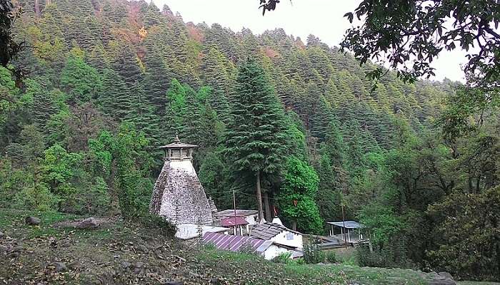 Pathway at Binsar Wildlife Sanctuary