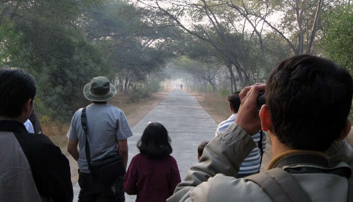 Munsiyari is a bird watchers paradise as the place presents a rich bird-watching