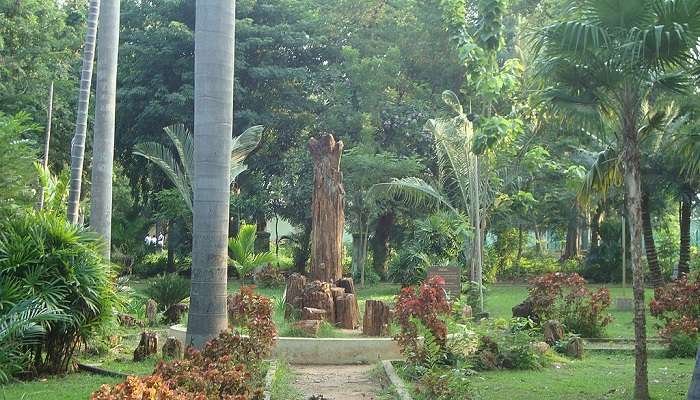 Botanical Garden in Pondicherry