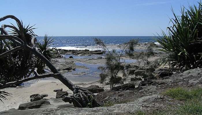 A scenic view of a natural park is the best thing to do in Lismore.