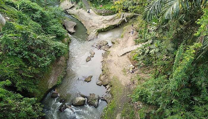  Get the Aerial view of Campuhan Ridge Walk and the shopping street in Ubud near Jalan Hanoman.