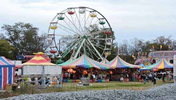 Louisiana Pecan Festival carnival rides view