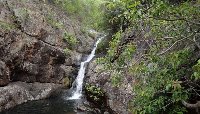 Feel the cascading water of Nagalapuram today. 