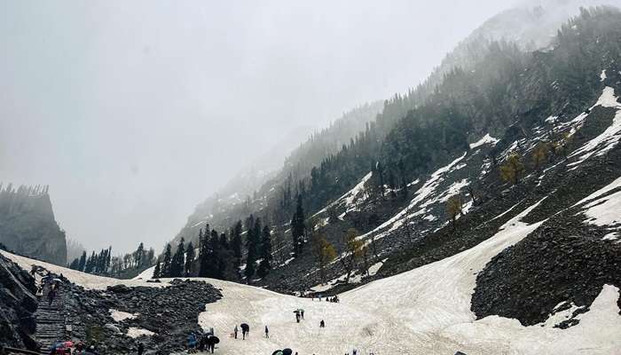 The majestic Chandanwari in Pahalgam.