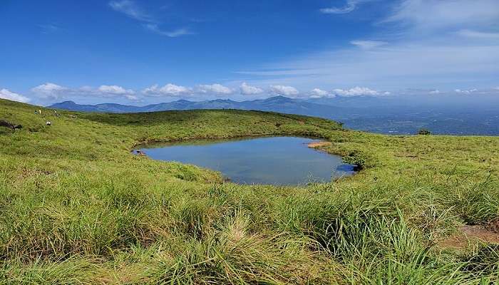 Chembra Peak In Wayanad