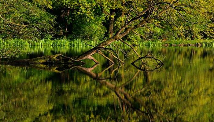 Visit this park in Cheranmanagar.