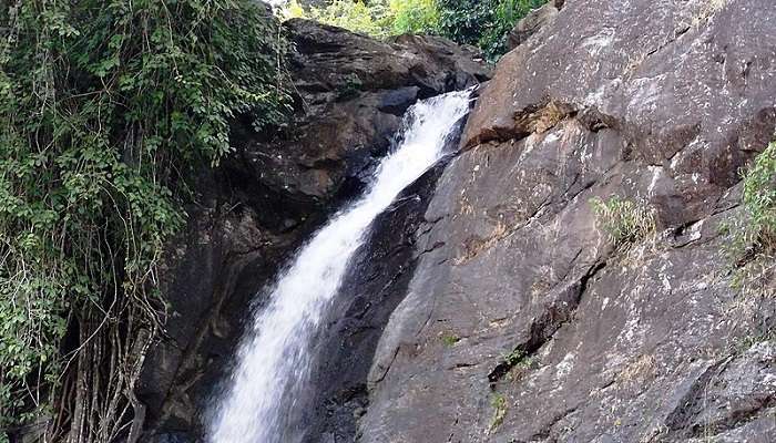 The scenic waterfalls in Wayanad Hills near Sultan Bathery