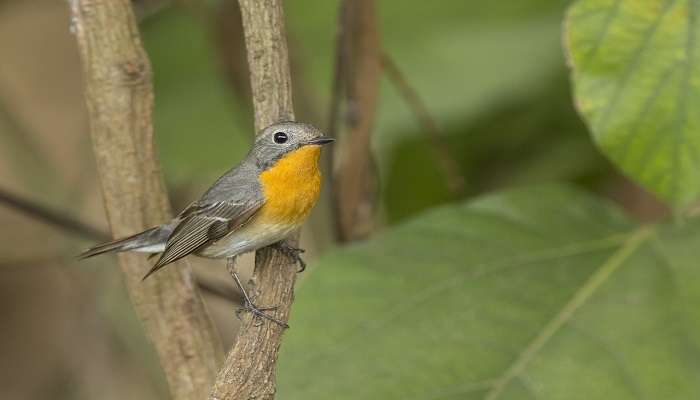 Chinnar Wildlife to experience.