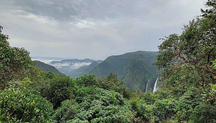 Winding road through the misty forests of Chorla Ghat near the Mhadei Wildlife Sanctuary.