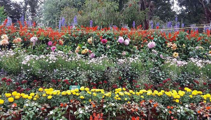 Image of Coimbatore Botanical Garden