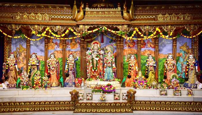 Experience Joyful Kirtans