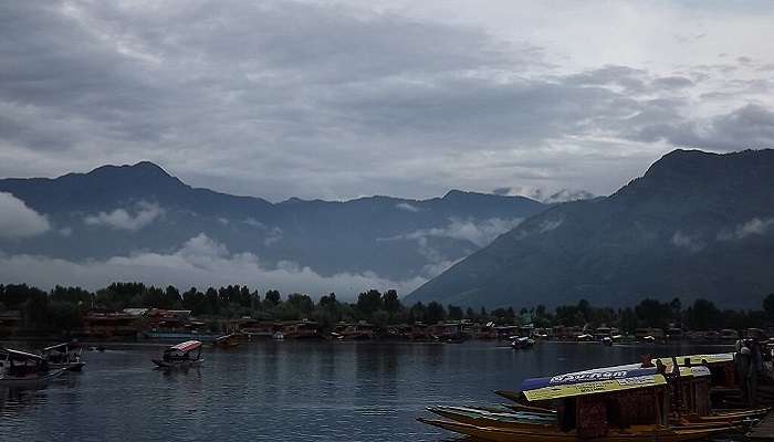 A landscape view of Dal Lake with traditional Shikara boats and houseboats