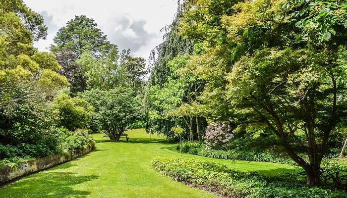 Eastwoodhill Arboretum