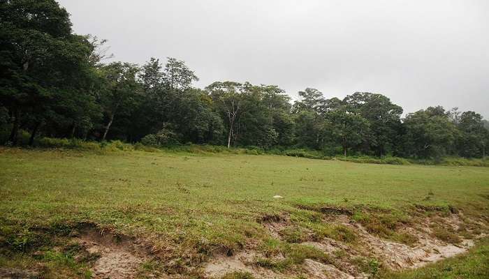 The panoramic view of Wayanad Wildlife Sanctuary