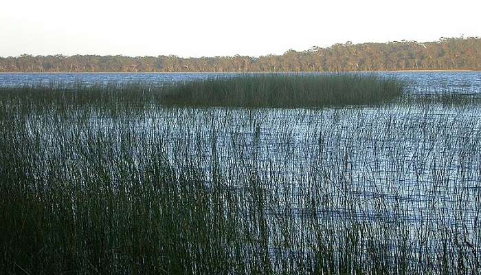 Lake at the Park