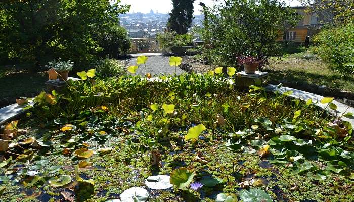 Just in the centre of the city, one can visit the wonderful Genoa Botanical Gardens free from the streets' bustle. 