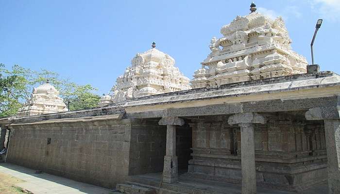 Every temple witnesses daily rituals and so does the Nithyakalyana Perumal Temple.