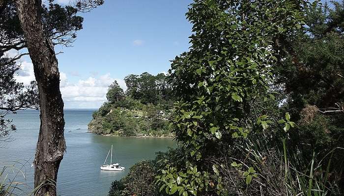 Visit Tokoroa Point to get a view of all the attractions.