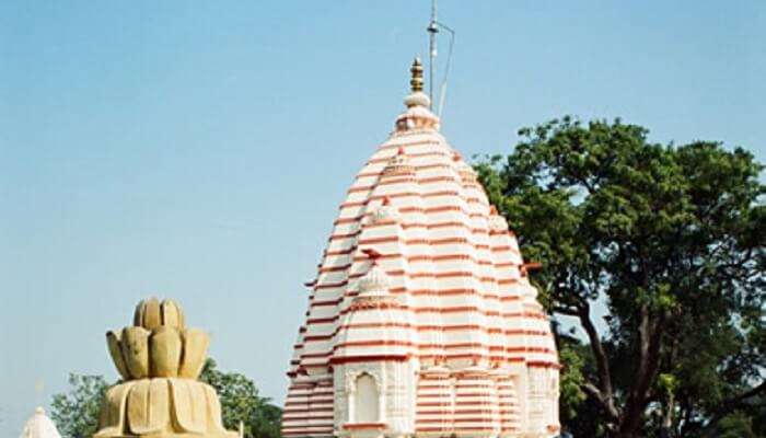 A beautiful statue of Gadkalika Devi in Gadkalika Temple in Ujjain.