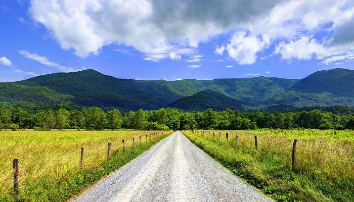 Cades Cove in Gatlinburg.