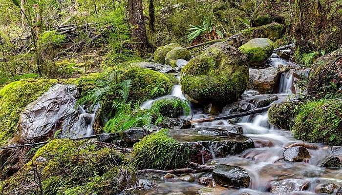 A stream on a track between Sabine Hut and Speargrass Hut at Porirua.