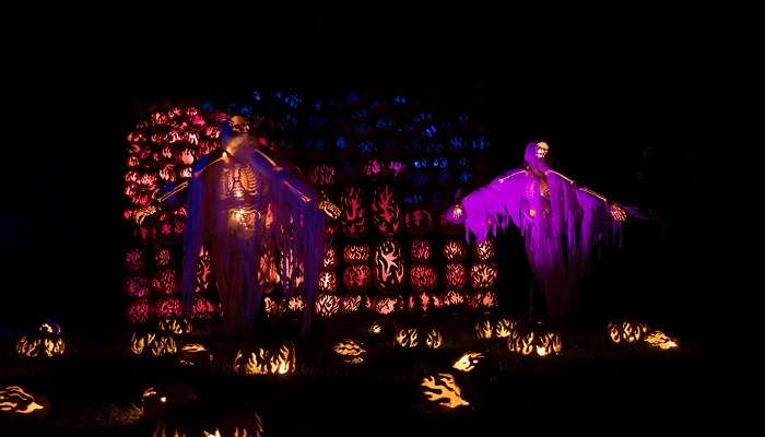 Know the origin of The Great Jack O-Lantern Blaze.