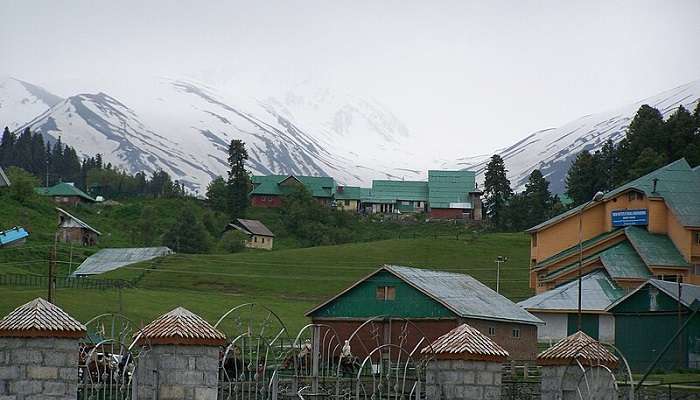 Snowy landscape of Gulmarg