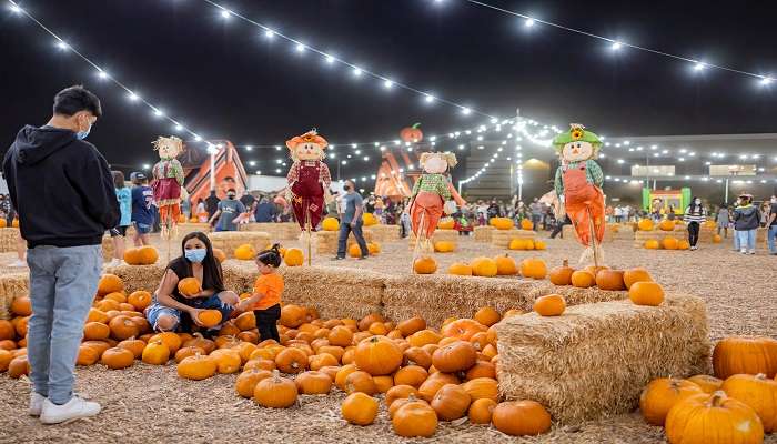 A spooky view of Las vegas, best things to do on Halloween