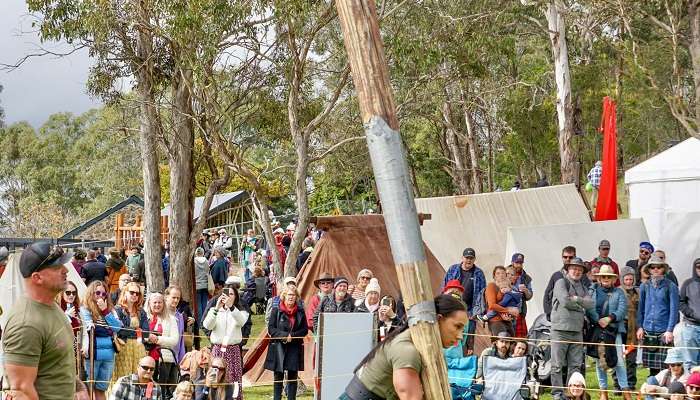 The famous Highland game- Caber Toss in Austin Celtic Festival