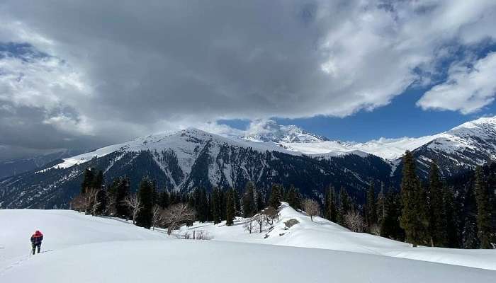 Know the history of Shadimarg.