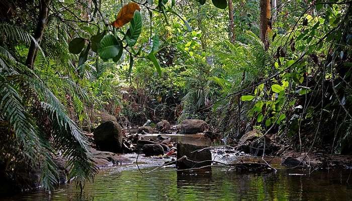 Surreal view of Belihuloya Sri Lanka