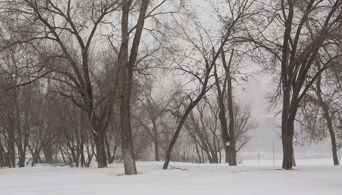 Hiver en Russie