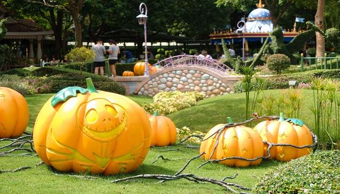 A wonderful view of Hong Kong during halloween celebrations