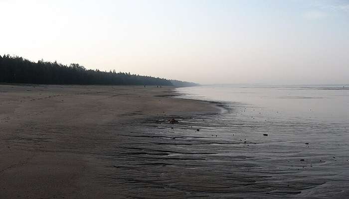 View of the serene Nargol Beach Gujarat