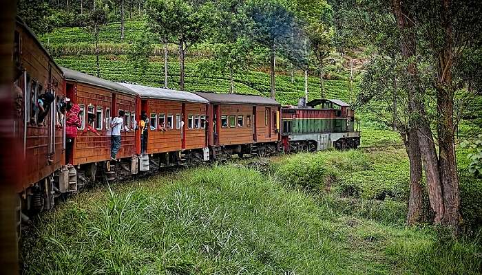 Best ways to reach Belihuloya Sri Lanka