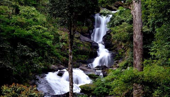 Iruppu Falls in Coorg to visit in 1 day.