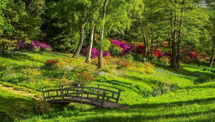 Flowers in various hues at the Jalahalli park