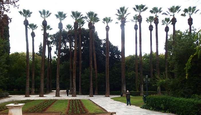 Explorez la jardin national de Athens