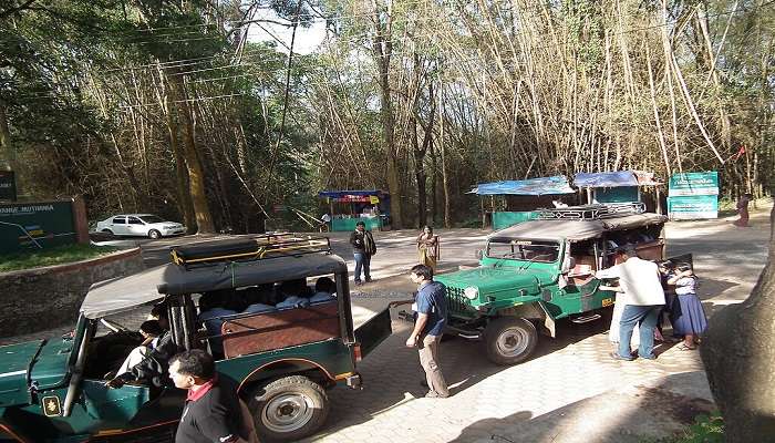 Jeep Safari