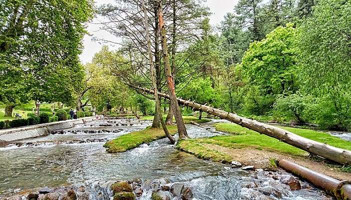 Breath-taking view of Kokernag.